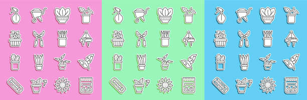 集线包满热带植物种子图片下载