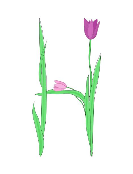 英文字母H来自郁金香花，花字体为春季母亲节设计图片下载