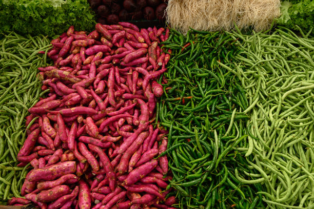 不同的有机蔬菜红薯，青椒，豆角。图片下载