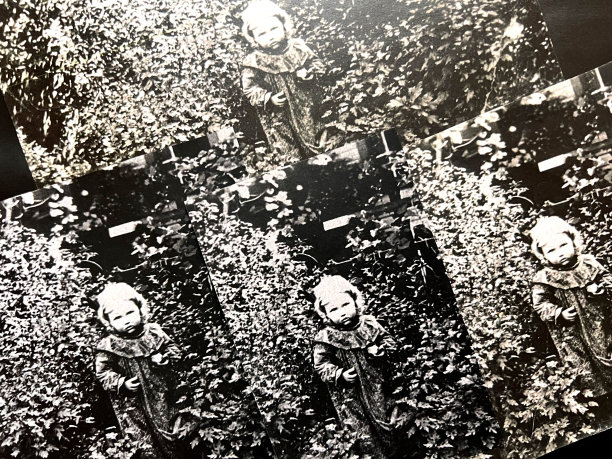 影印本黑白照片19世纪图片下载