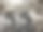 影印本黑白照片19世纪图片下载