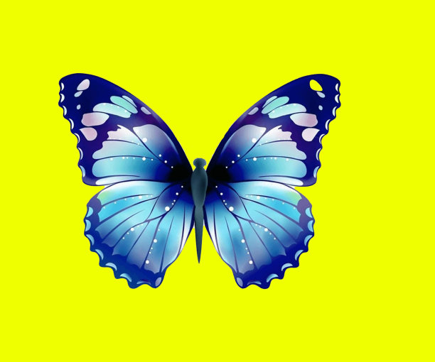 一只蝴蝶图片下载