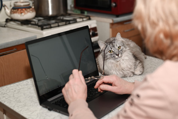 成熟的女人在家里使用笔记本电脑。坐在厨房的一张桌子旁，手里拿着杯子。图片下载