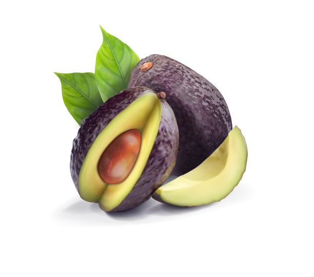 牛油果和绿叶的美丽组合。矢量插图。图片下载