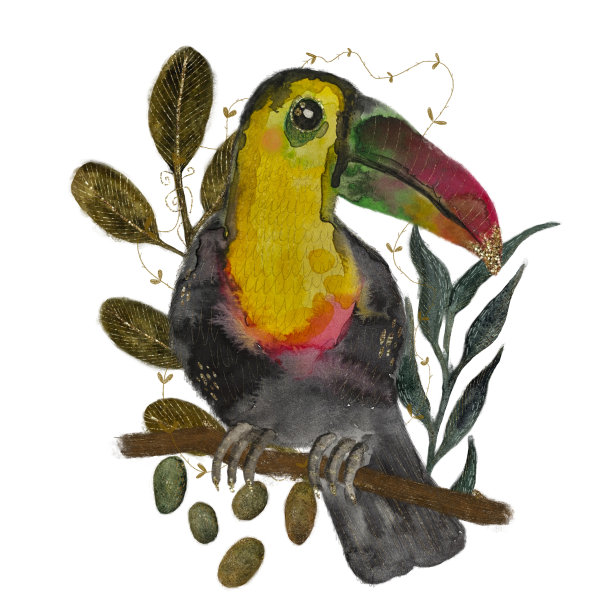 巨嘴鸟和植物水彩对象图片下载