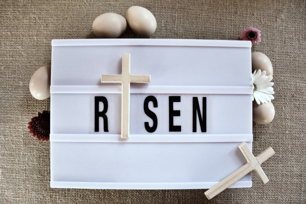 用鸡蛋在灯箱上升起图片下载