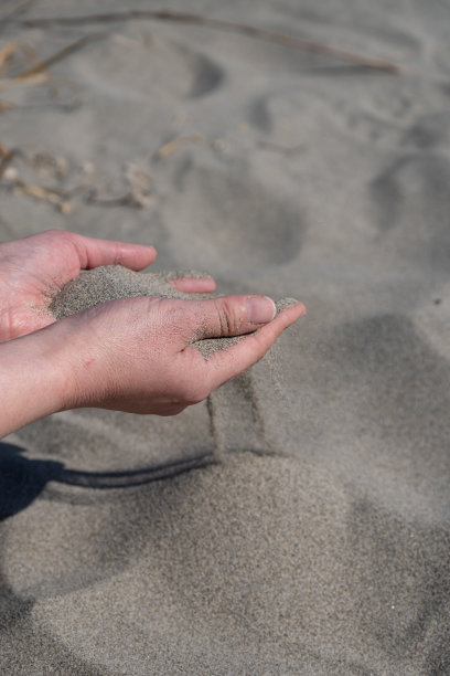 在沙滩上玩耍图片下载