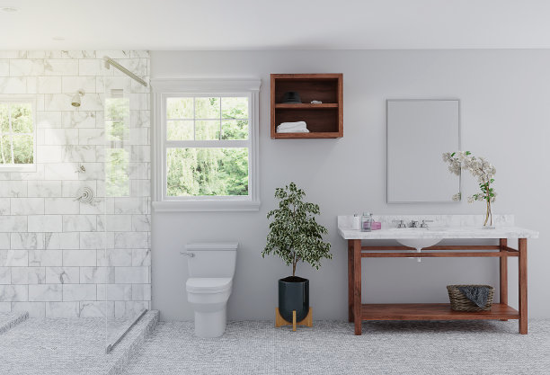 现代的浴室内饰有马桶和脸盆图片下载