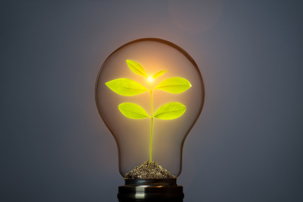 经典灯泡与新生命植物内暗图片下载