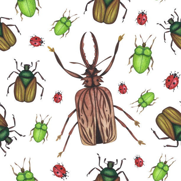 无缝模式现实的棕色甲虫昆虫隔离在白色。水彩手绘动物虫子画图设计图片下载