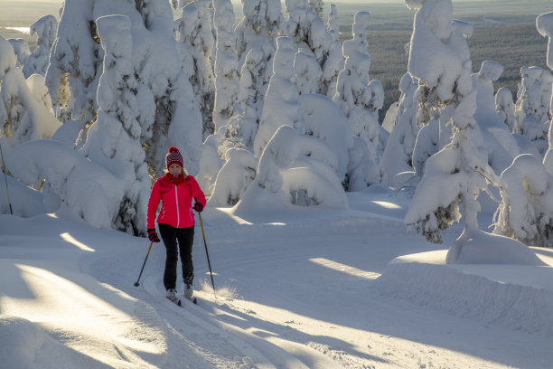 女子在芬兰拉普兰越野滑雪图片下载