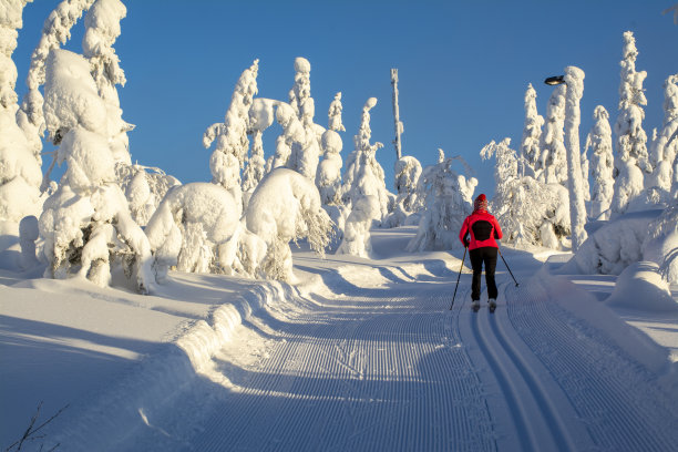 女子在芬兰拉普兰越野滑雪图片下载
