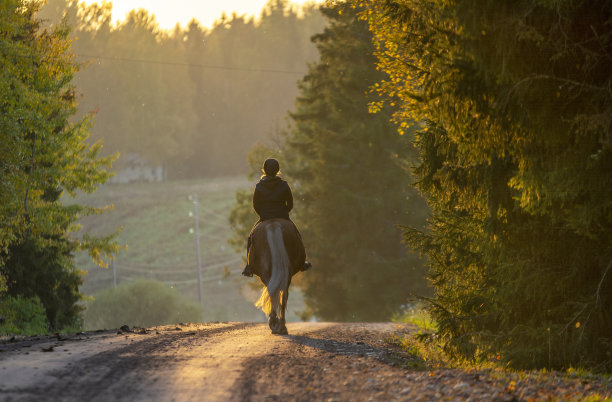 女人在秋天骑马图片下载