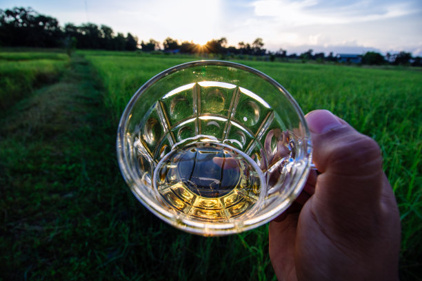 一杯啤酒图片下载