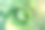 花园里新鲜的卷心菜在阳光下。生态产品。图片下载