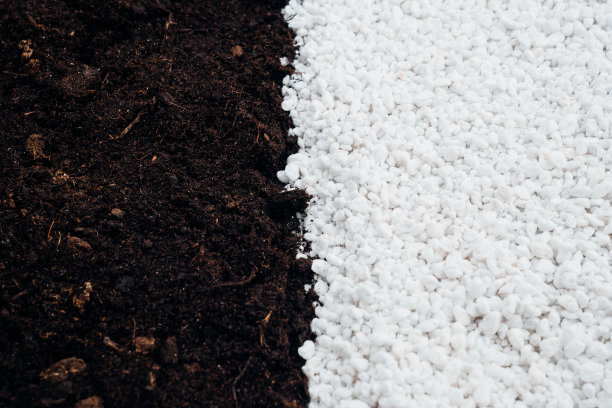 土壤和珍珠岩植物。火山成因的中性物质图片下载