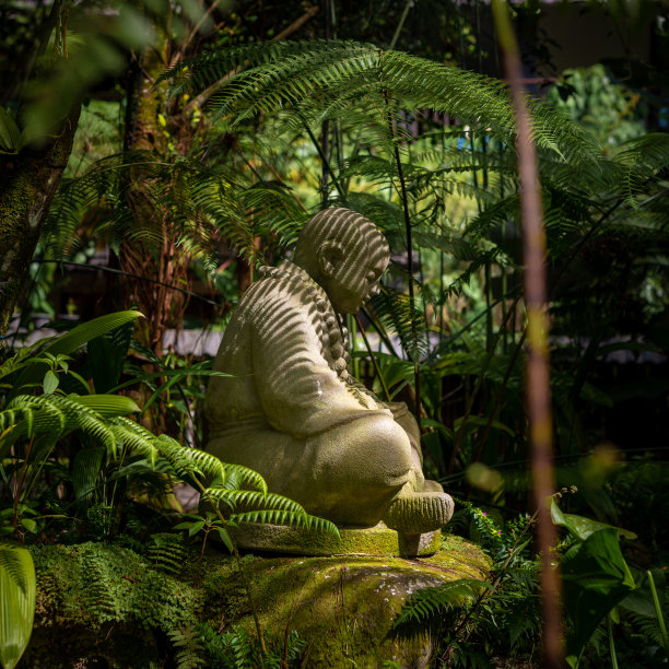 一尊小石佛，周围有茂密的热带植被图片下载