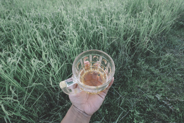 一杯啤酒图片下载