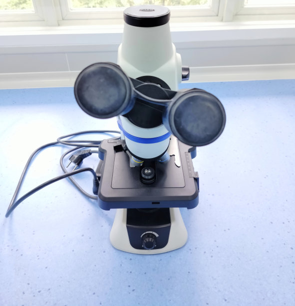 显微镜图片下载