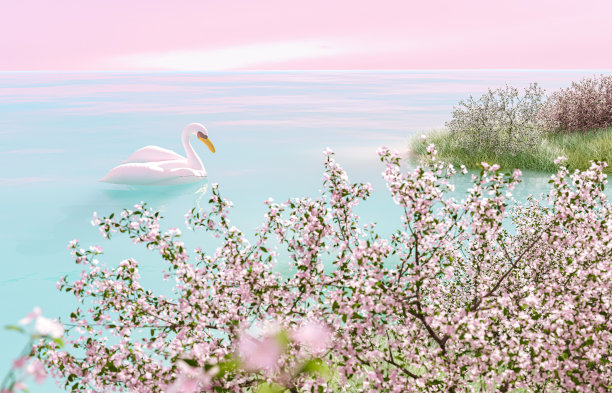 摘要樱花春景樱花园与漂浮的充气天鹅。图片下载