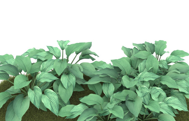 背景上孤立的草地。三维渲染-插图图片下载