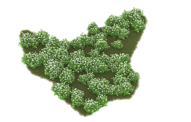 背景上孤立的草地。三维渲染-插图图片下载