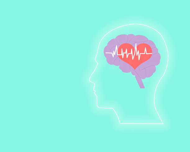 人脑与心脏的图解图片下载