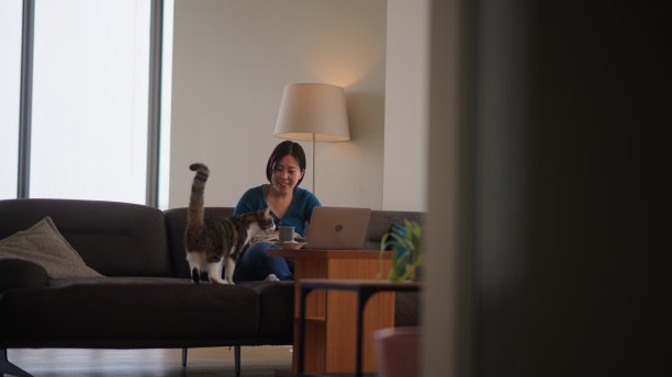 女人在家里的客厅里享受着笔记本电脑上的视频通话，她的猫睡在她旁边图片下载