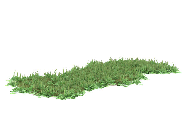 背景上孤立的草地。三维渲染-插图图片下载