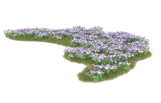 背景上孤立的草地。三维渲染-插图图片下载