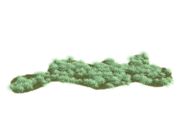 背景上孤立的草地。三维渲染-插图图片下载