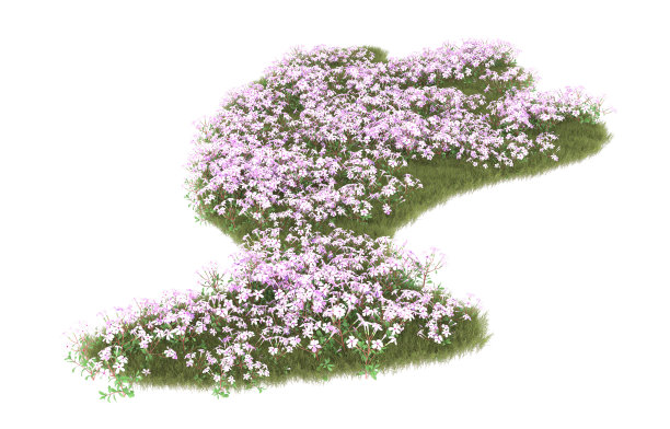 背景上孤立的草地。三维渲染-插图图片下载