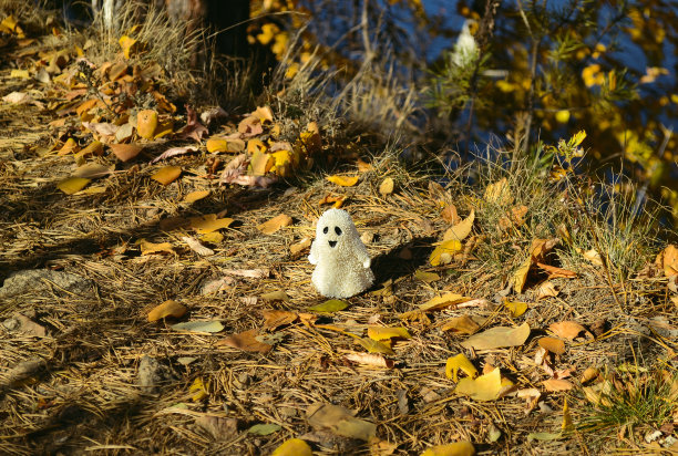 一个白色的微笑幽灵玩具站在秋天森林的落叶中图片下载