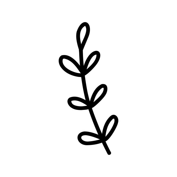 花涂鸦枝。手绘装饰树叶和花环。花装饰分隔器。树枝上有叶子和花。图片下载