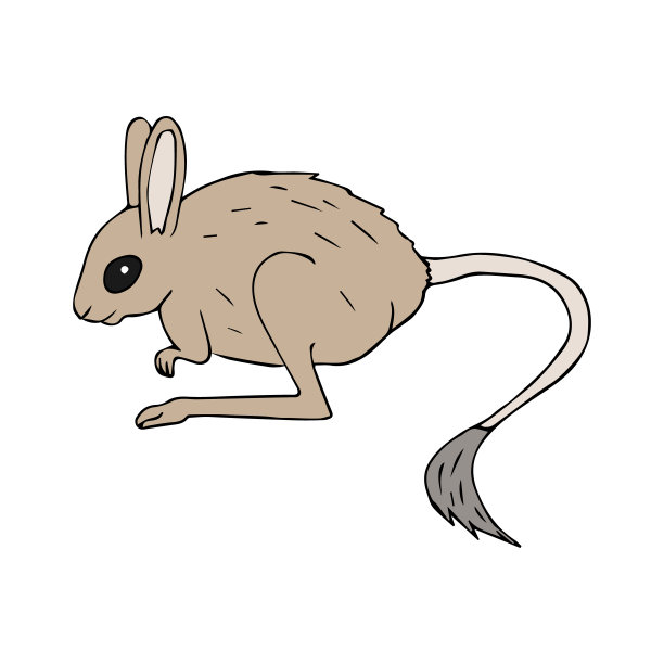 矢量手绘涂鸦素描跳鼠图片下载