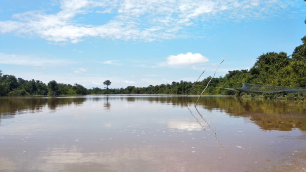 棕色的河水图片下载