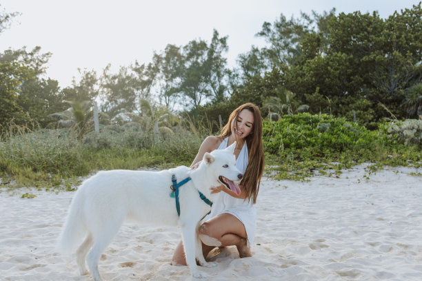 这是一幅美丽的年轻西班牙女子的肖像，她在拉丁美洲墨西哥的海滩上带着一只白色宠物狗图片下载