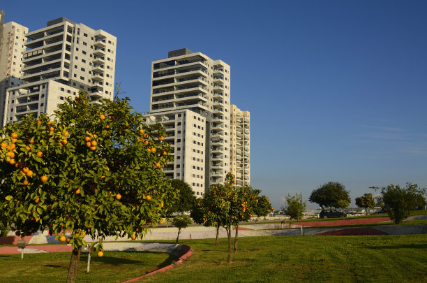 住宅区，高层现代公寓楼，建筑起重机图片下载
