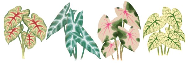 无标题的艺术品图片下载