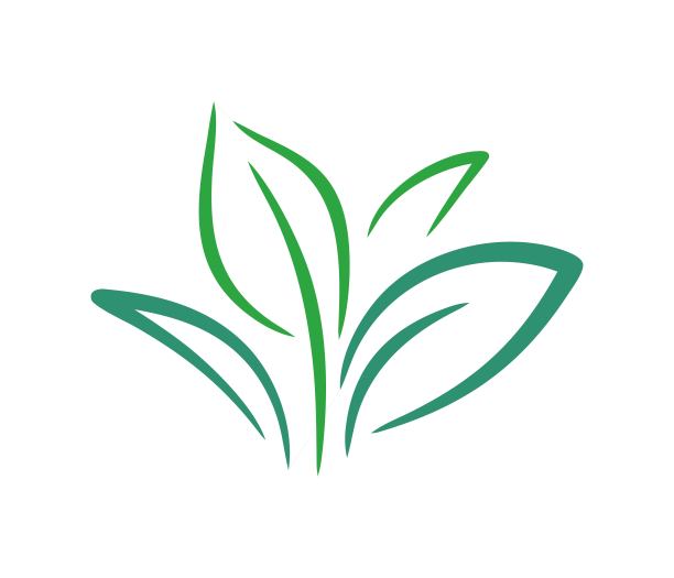 有机标志。生态标志。蔬菜是自然的象征。农业和植物种植图片下载