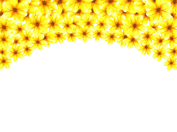 用花作框架。水彩画抽象明亮的夏天黄色的花和叶子。白色背景上孤立的物体图片下载