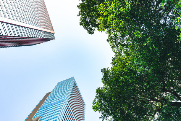 商业大厦和绿叶图片下载