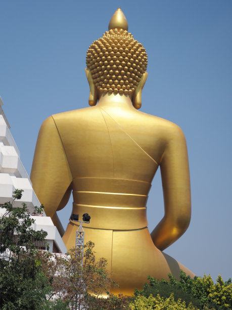 佛背，金黄，树叶绿，天空银，靛蓝，灰黑，白光图片下载