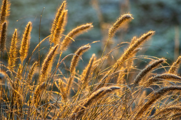 冬季仙境图片下载