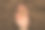 年轻的成年女子张开手掌，展示绿色的南瓜芽与种子在新鲜的深棕色土壤。特写镜头。为早春的园艺季节做准备。自顶向下视图。图片下载