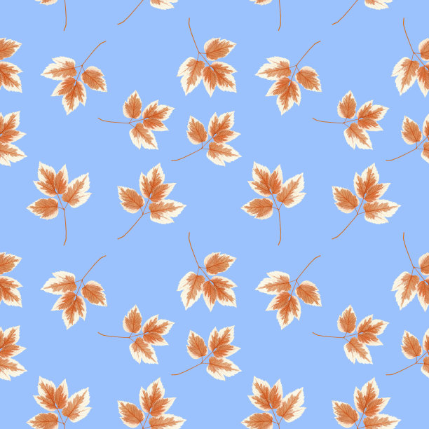 枫叶。插图，花的纹理。无缝模式的连续复制。花卉背景，照片拼贴纺织，棉织物。壁纸，封面，印刷品图片下载