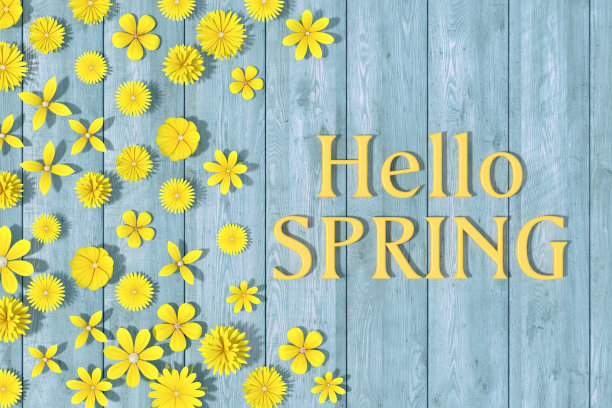 春天的花朵在木头背景上图片下载