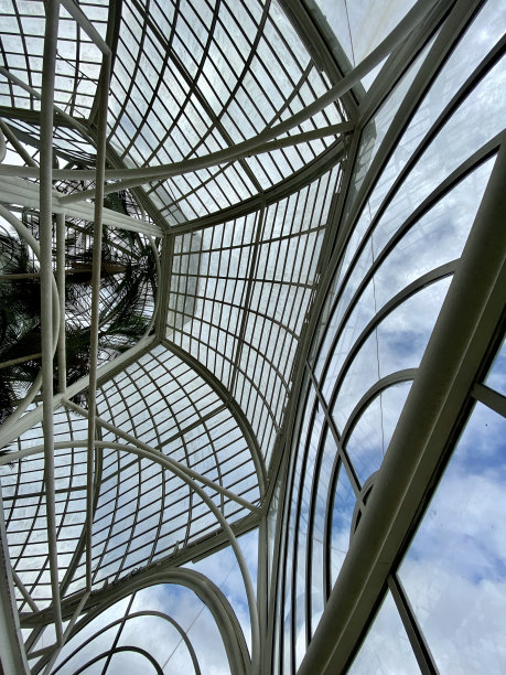 库里提巴植物园图片下载