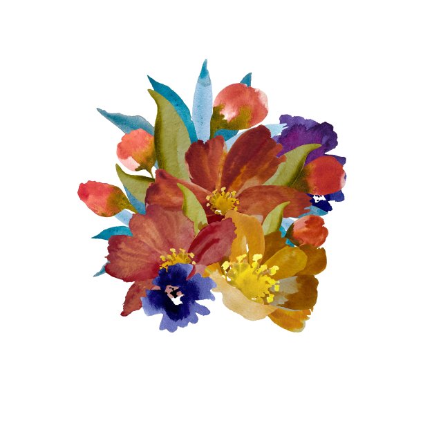 花束牡丹雏菊紫罗兰花蕾水彩图片下载