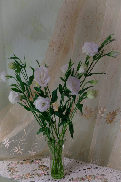 白色洋桔梗花瓶花束图片下载